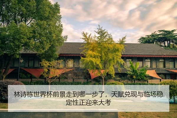 lin-shi-dong-shi-jie-bei-qian-jing-zou-dao-na-yi-bu-le-tian-fu-dui-xian-yu-lin-chang-wen-ding-xing-zheng-ying-lai-da-kao-2-529.jpg