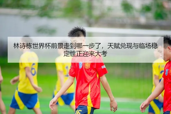 林诗栋世界杯前景走到哪一步了，天赋兑现与临场稳定性正迎来大考